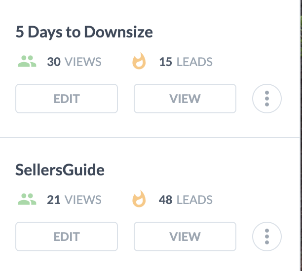 Screen shot of 15 leads and 48 leads from two landing pages