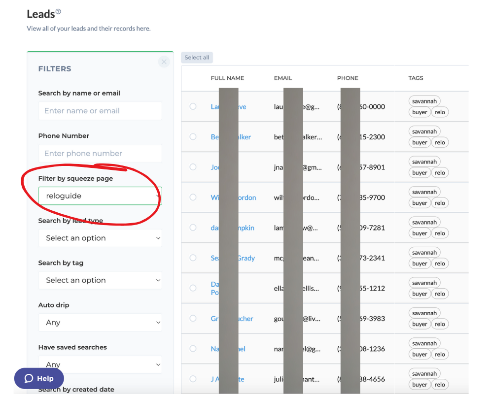 relo guide leads in my crm
